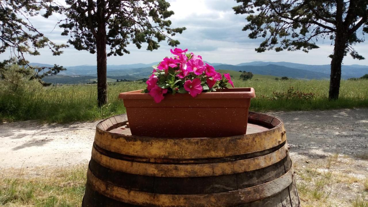 La Pecora Verde San Gimignano Exterior foto